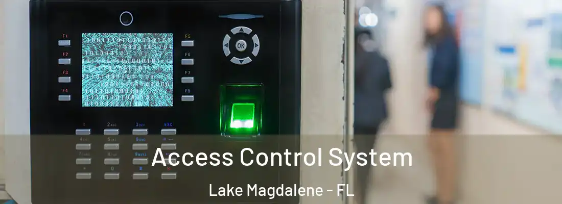 Access Control System Lake Magdalene - FL