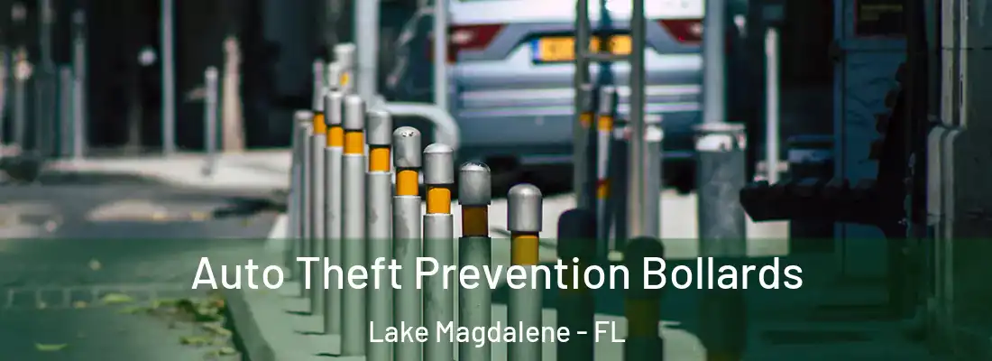 Auto Theft Prevention Bollards Lake Magdalene - FL