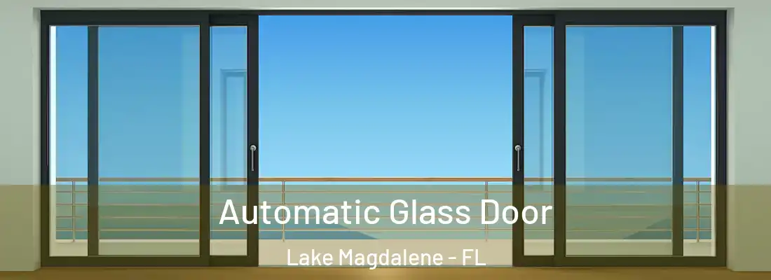 Automatic Glass Door Lake Magdalene - FL