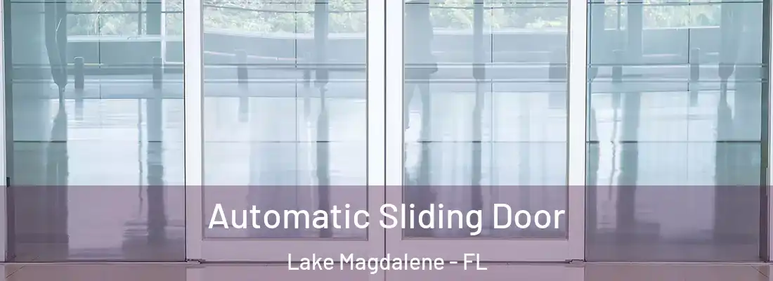 Automatic Sliding Door Lake Magdalene - FL