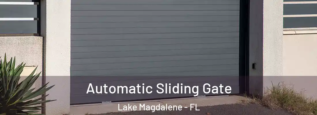 Automatic Sliding Gate Lake Magdalene - FL