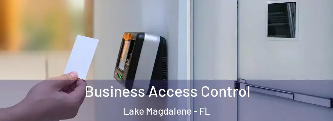 Business Access Control Lake Magdalene - FL