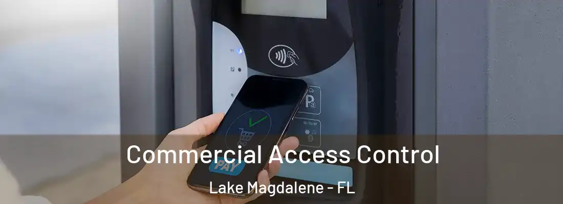 Commercial Access Control Lake Magdalene - FL