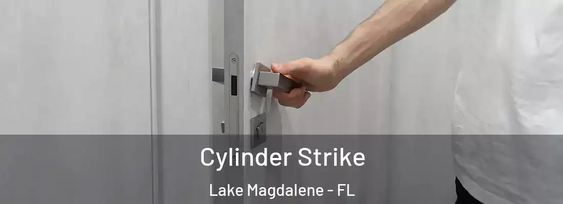 Cylinder Strike Lake Magdalene - FL