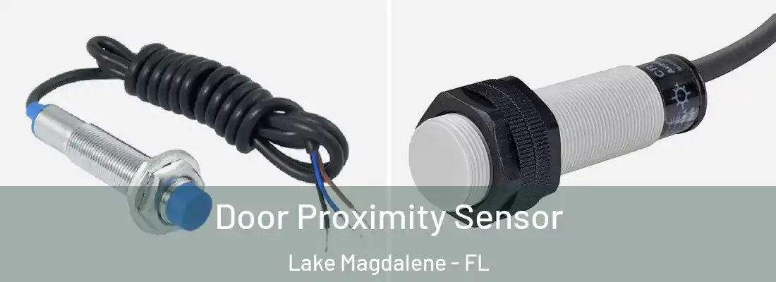 Door Proximity Sensor Lake Magdalene - FL