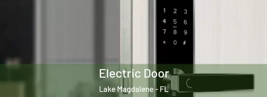 Electric Door Lake Magdalene - FL