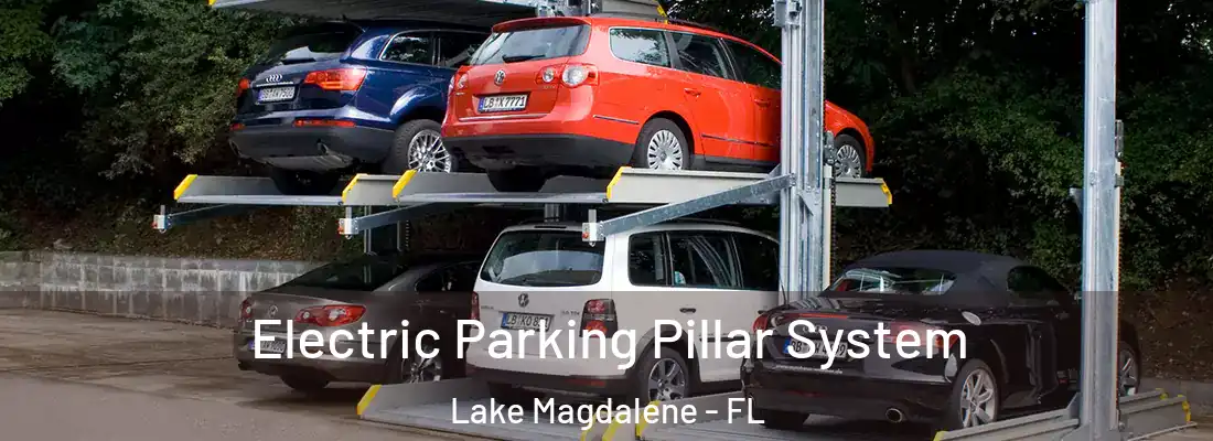 Electric Parking Pillar System Lake Magdalene - FL