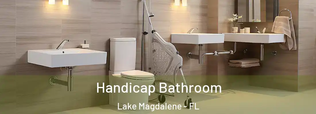 Handicap Bathroom Lake Magdalene - FL