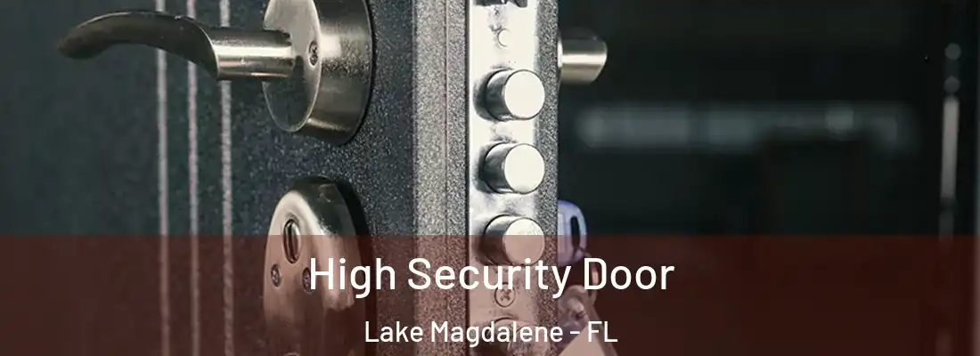 High Security Door Lake Magdalene - FL