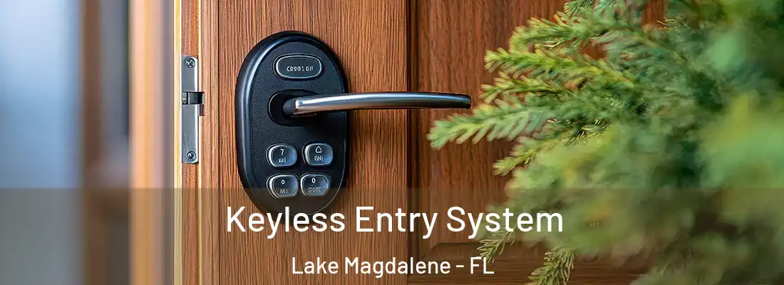 Keyless Entry System Lake Magdalene - FL