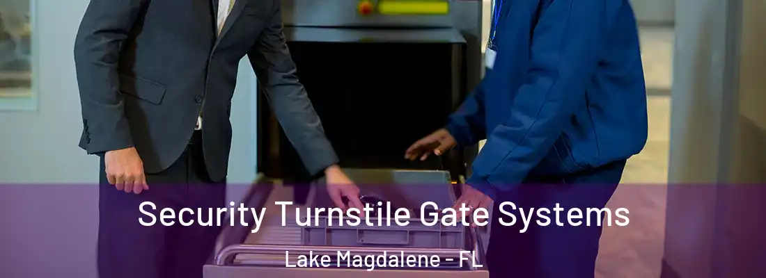 Security Turnstile Gate Systems Lake Magdalene - FL