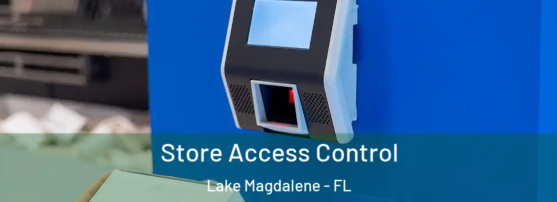 Store Access Control Lake Magdalene - FL