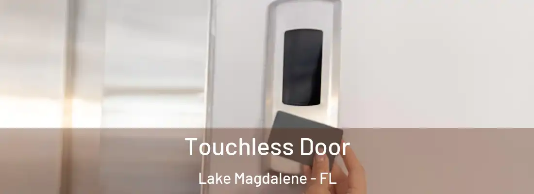 Touchless Door Lake Magdalene - FL