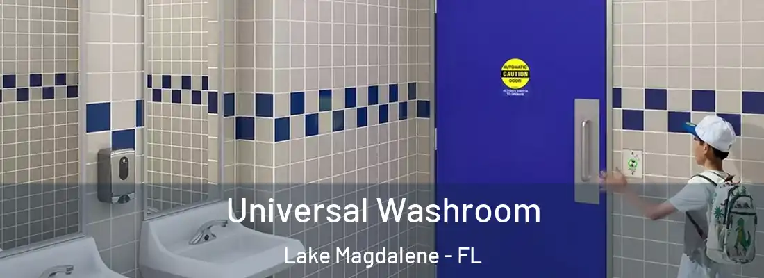 Universal Washroom Lake Magdalene - FL